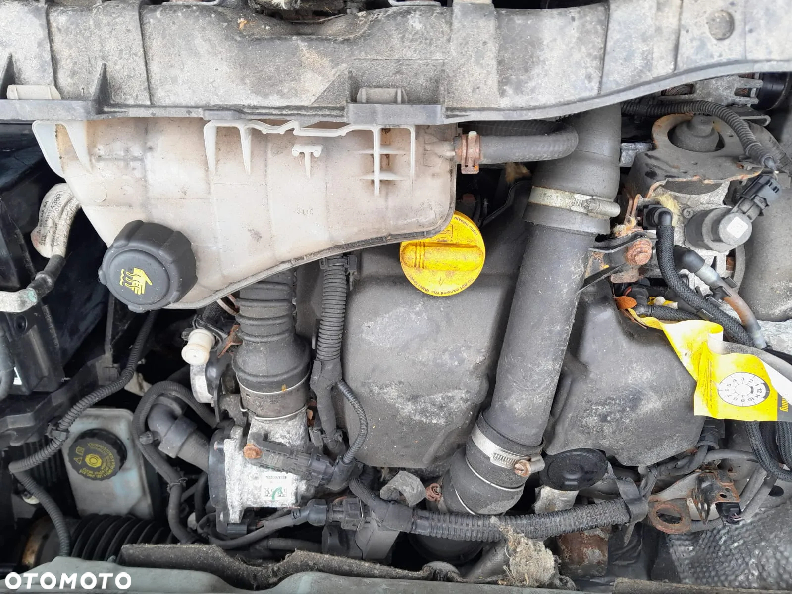 Renault KANGOO - 24