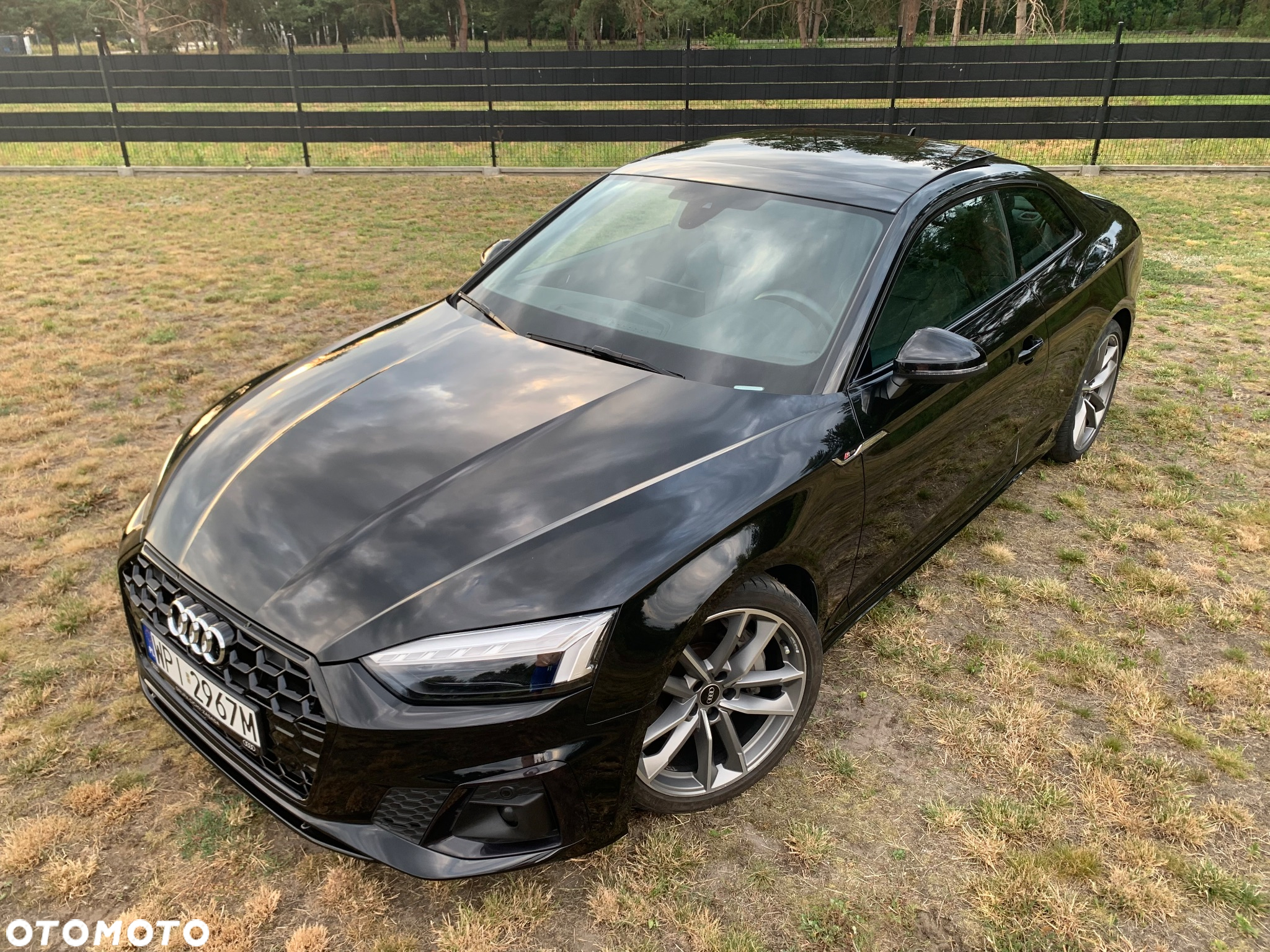 Audi A5 Coupe 45 TFSI quattro S tronic S line - 10