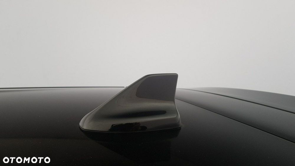 Ford Puma - 13