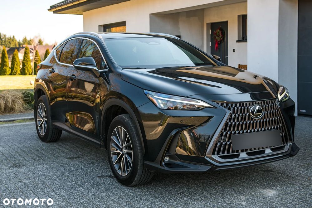 Lexus NX - 14