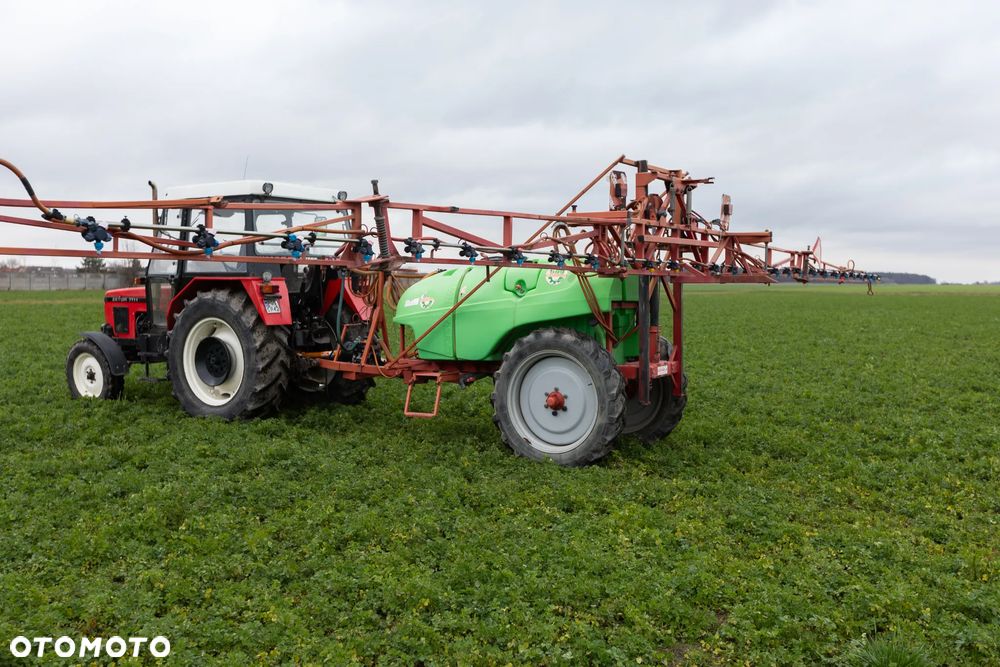 Krukowiak Apollo - 4