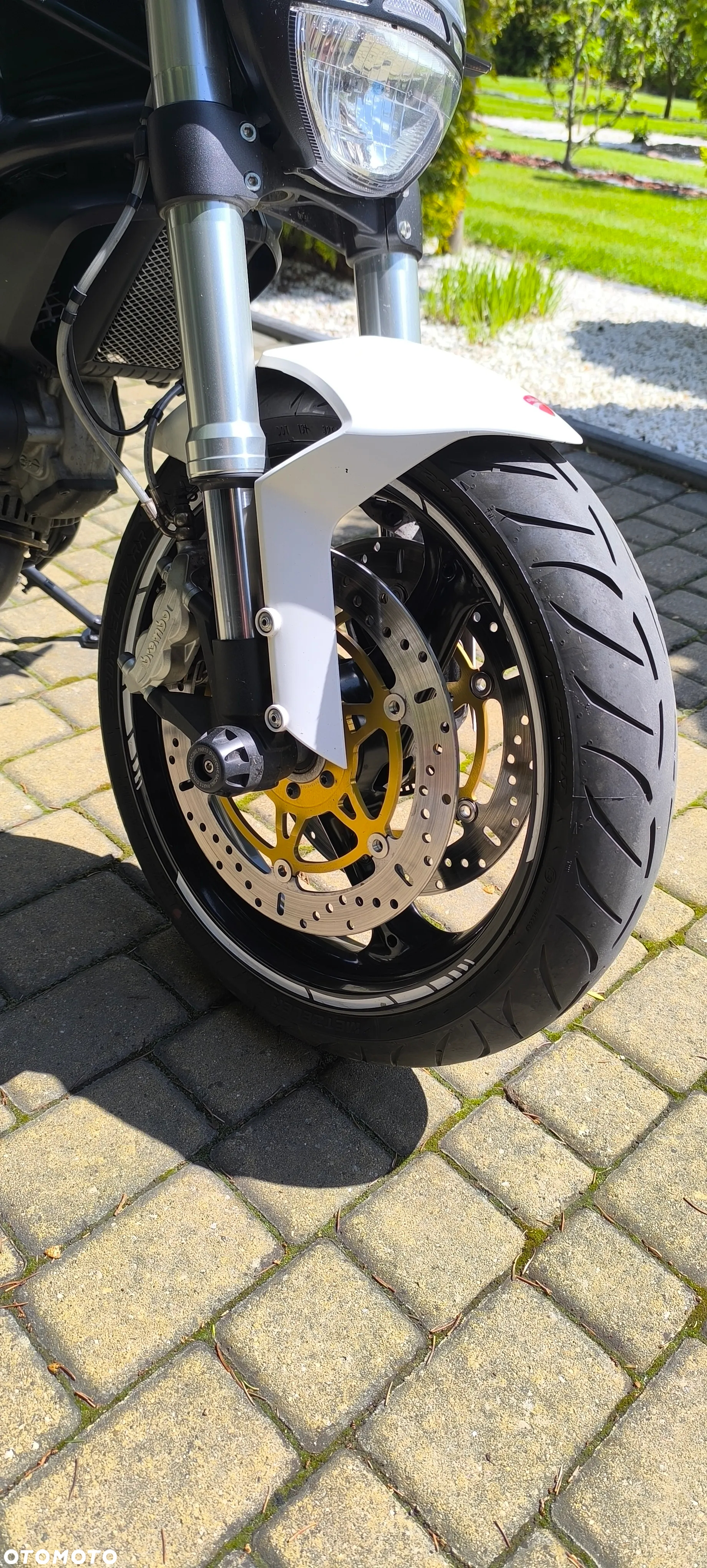 Ducati Monster - 20