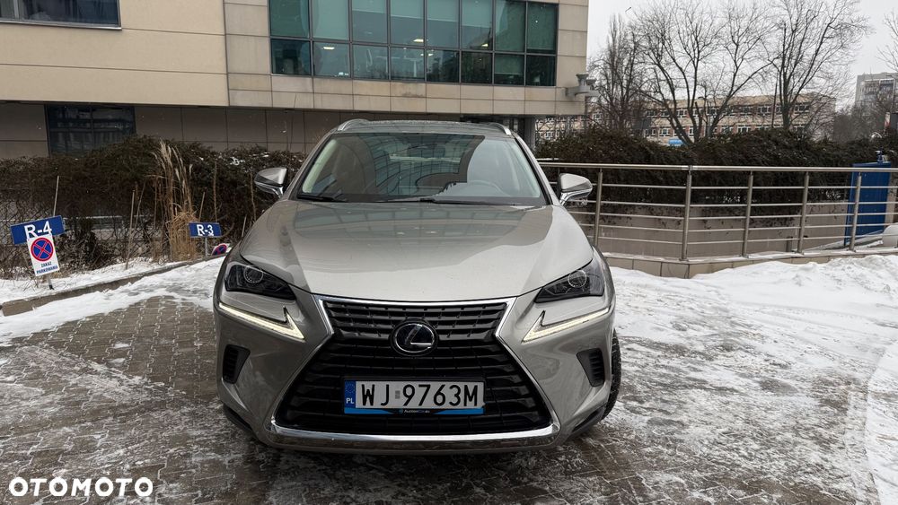 Lexus NX - 15