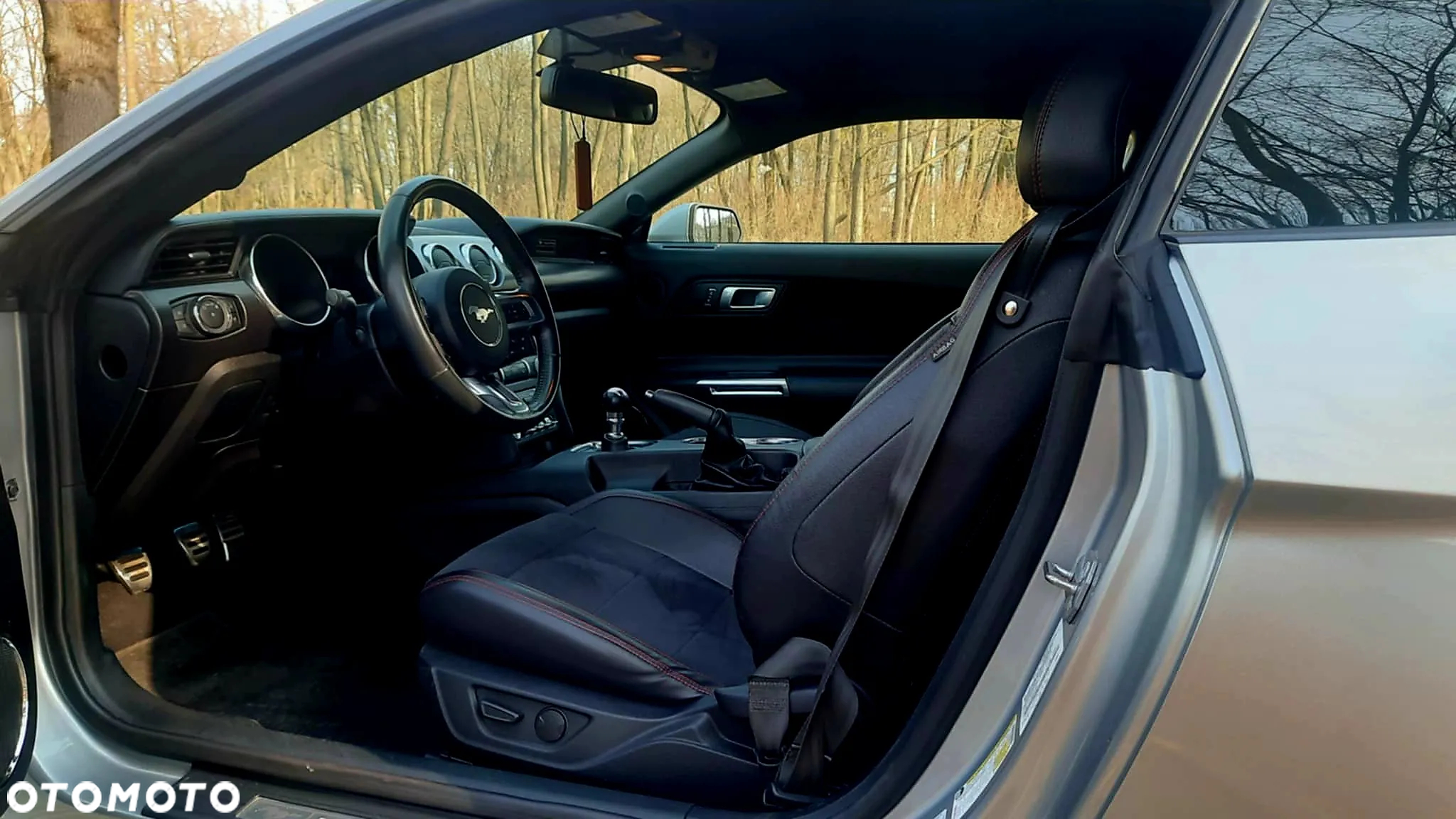 Ford Mustang 5.0 V8 GT - 13