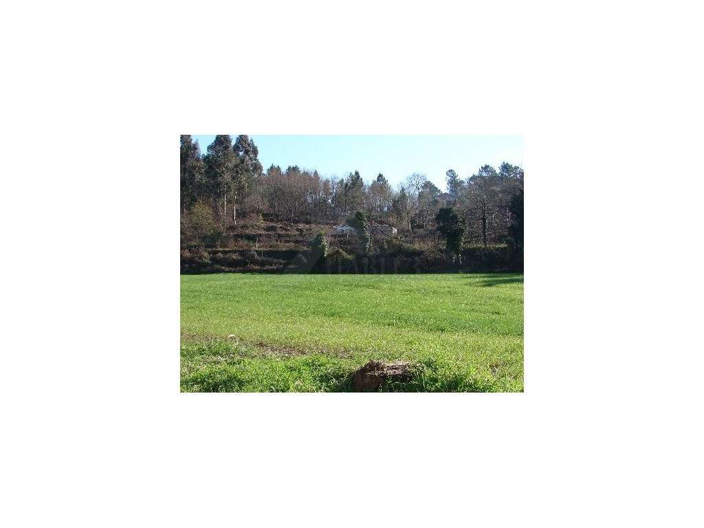 Quinta com 2 hectares em Bravães - Grande imagem: 2/6