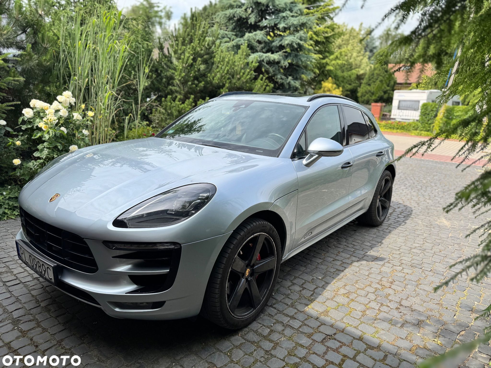 Porsche Macan GTS - 1