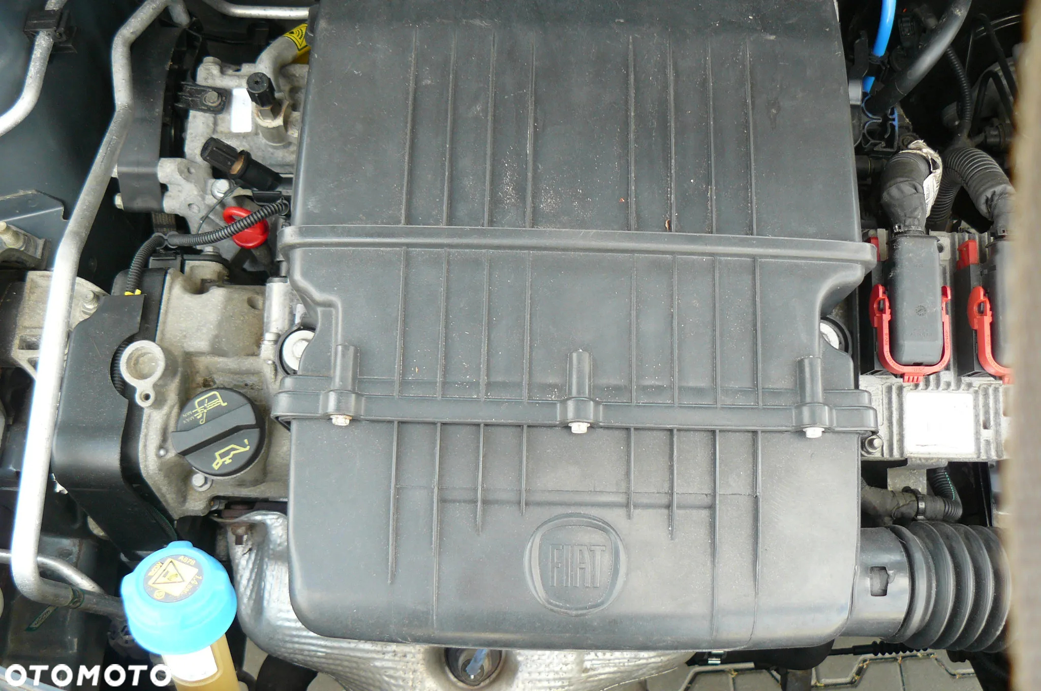 Fiat 500 - 38