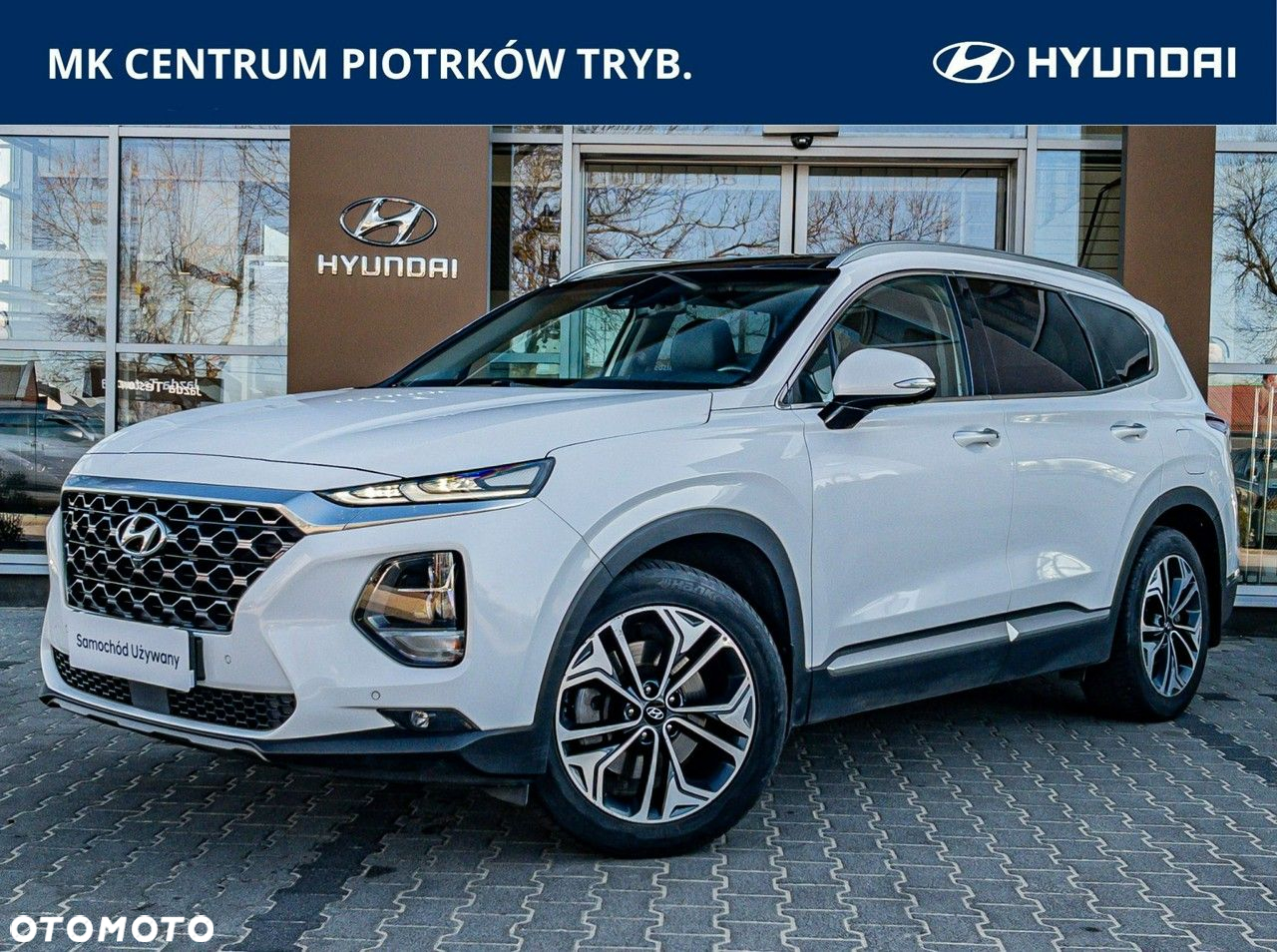 Hyundai Santa Fe 2.0 CRDi Platinum 4WD - 2