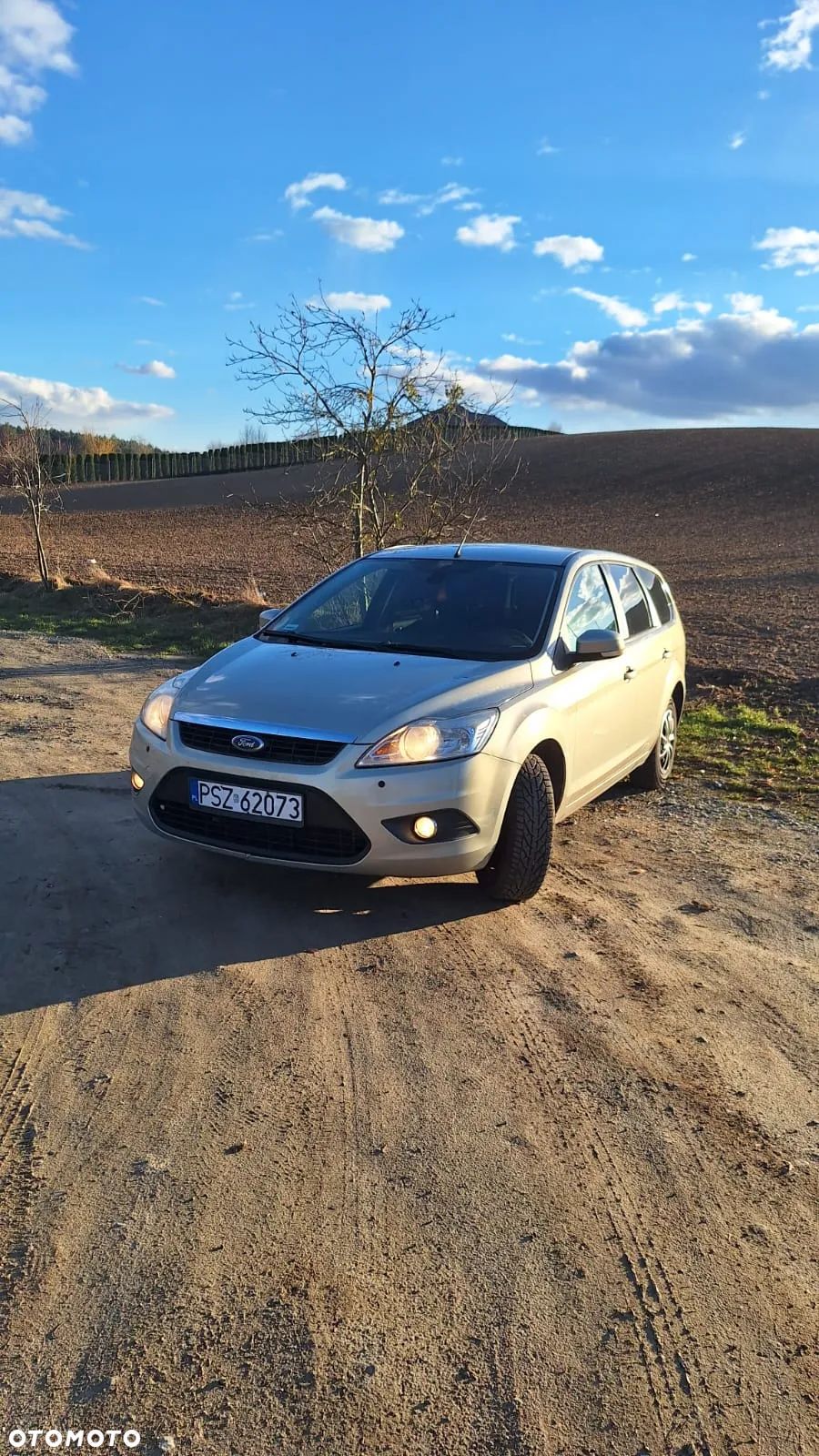 Ford Focus - 1