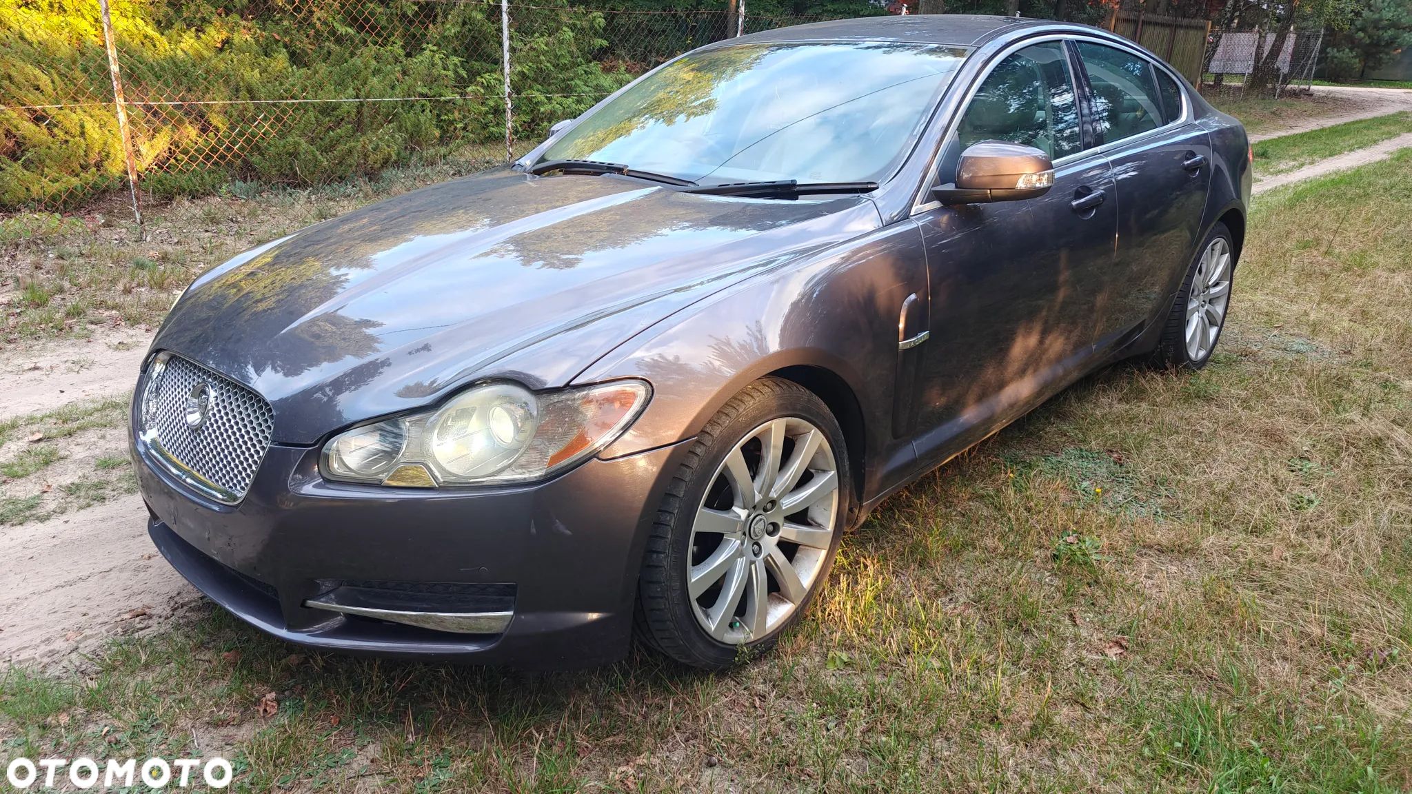 Jaguar XF - 1