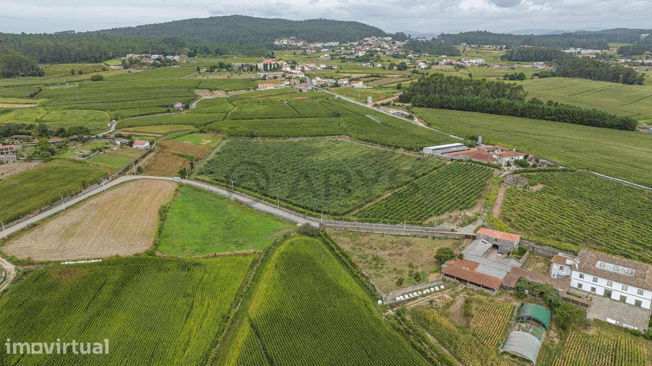 Terreno Rústico com Potencial para Agroturismo - Grande imagem: 5/16