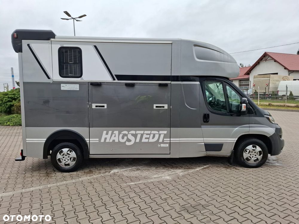 Peugeot BOXER 35, 2.0HDI / koniowóz Hagsted Horses - 3