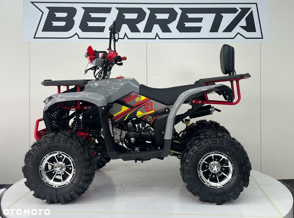 Berreta Inny - 12