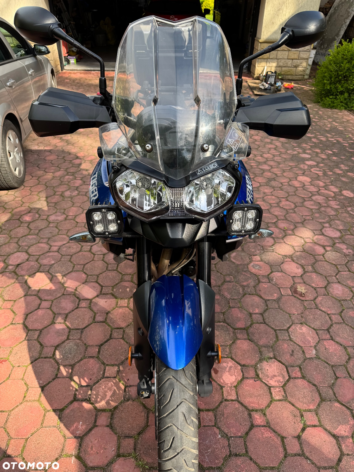 Triumph Tiger - 12