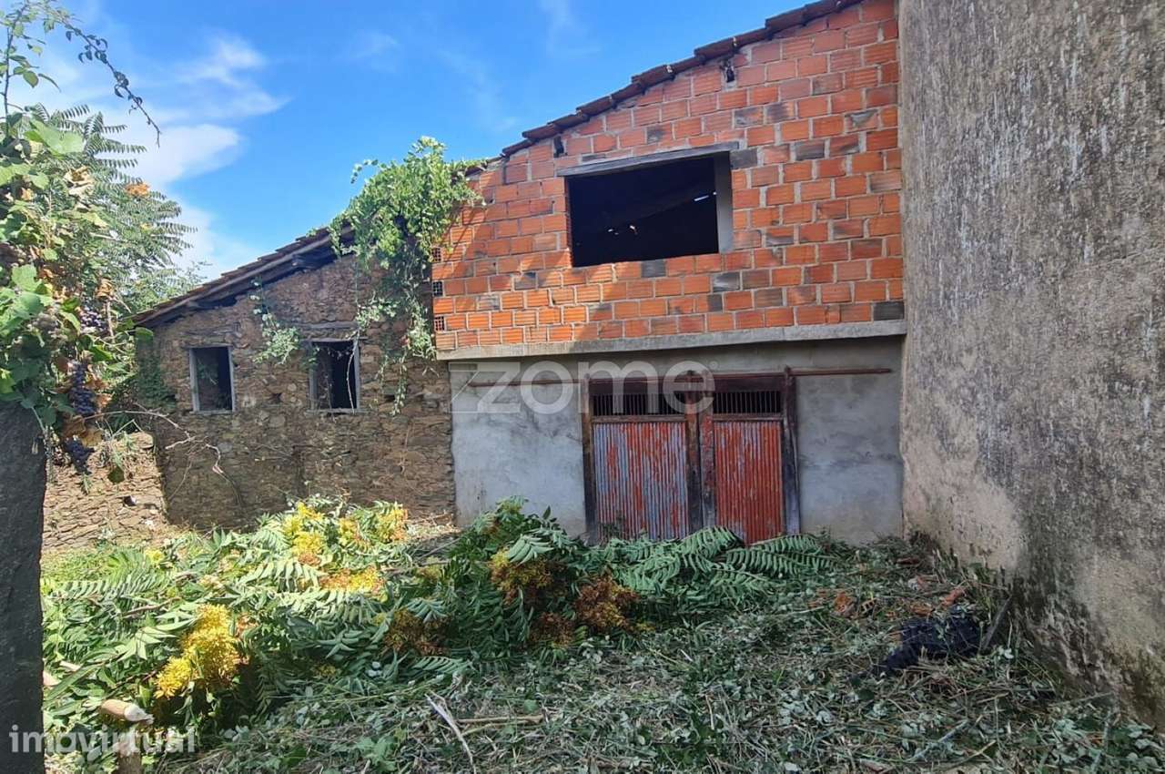 Conjunto de 4 artigos em Olmos - Macedo de Cavaleiros - Grande imagem: 2/15