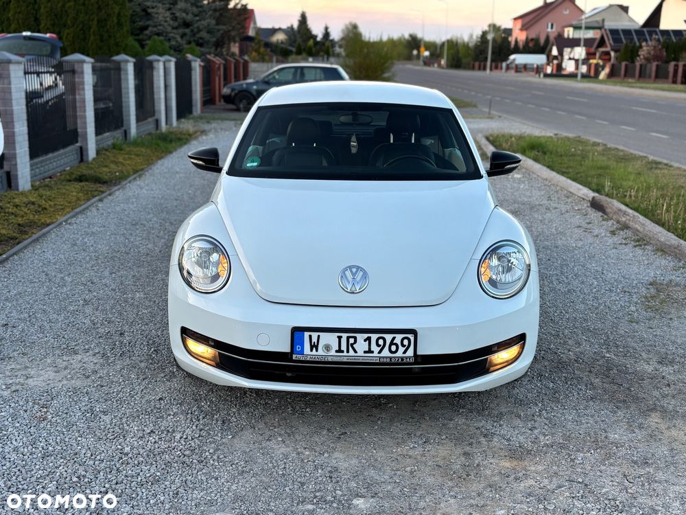 Volkswagen Beetle - 3