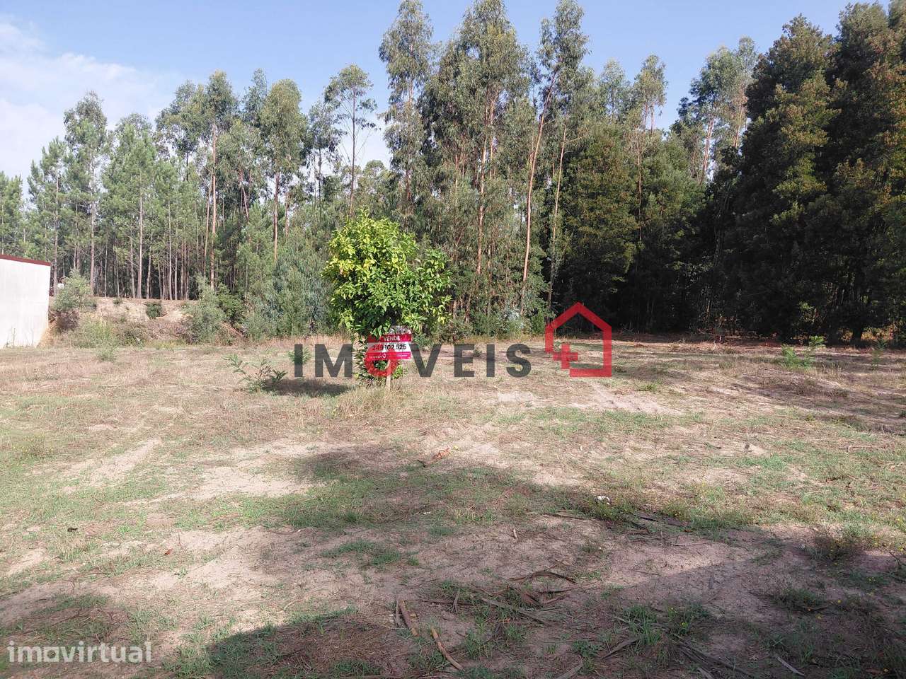 TERRENO PARA CONSTRUÇÃO  com três mil quatrocentos e cinquenta e do... - Grande imagem: 4/4