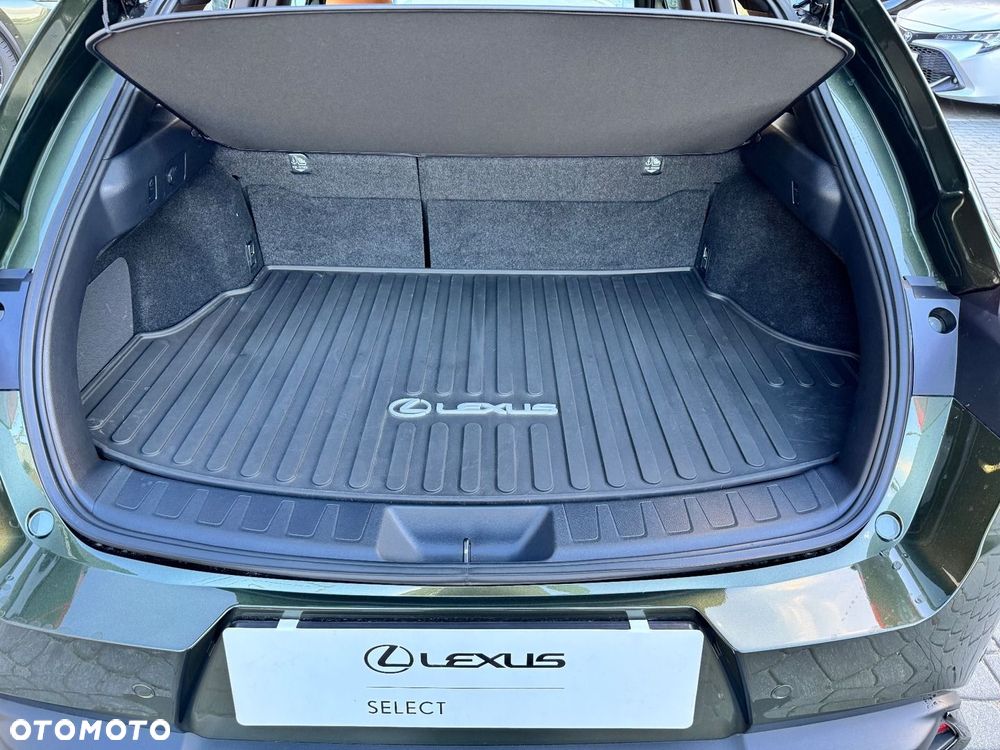 Lexus UX 300h F Sport Design - 20