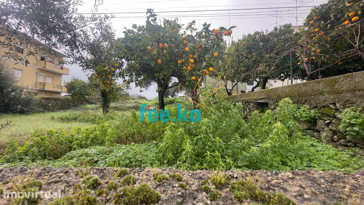 Terreno Urbano para Construção - Grande imagem: 5/20
