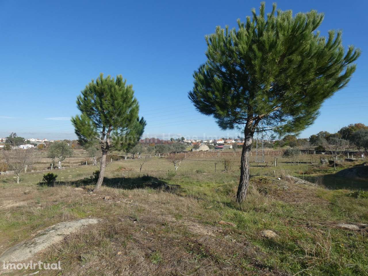 Quinta  Venda em Paranhos,Seia - Grande imagem: 2/16