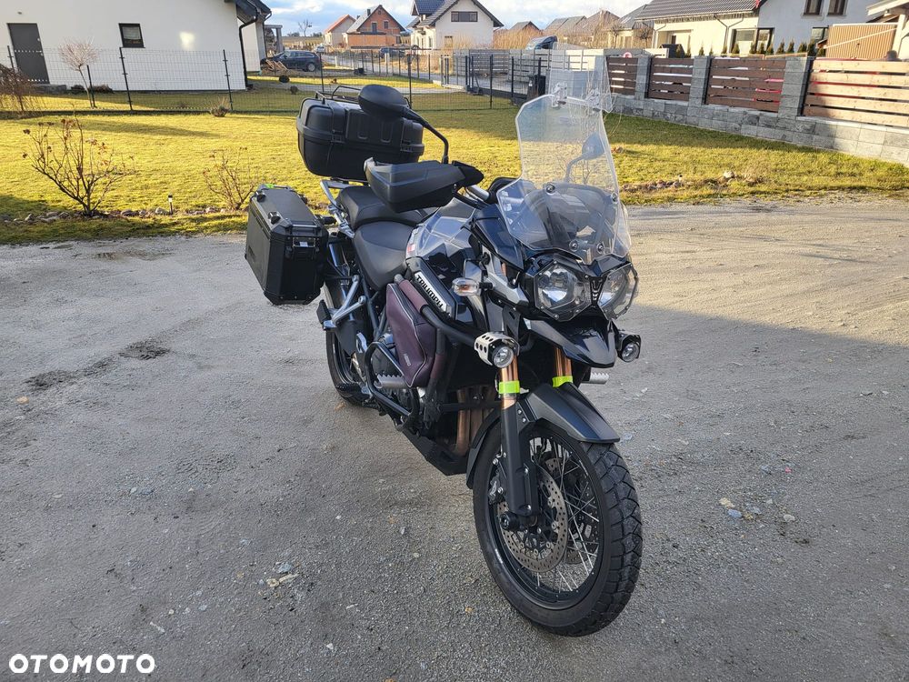 Triumph Tiger - 1