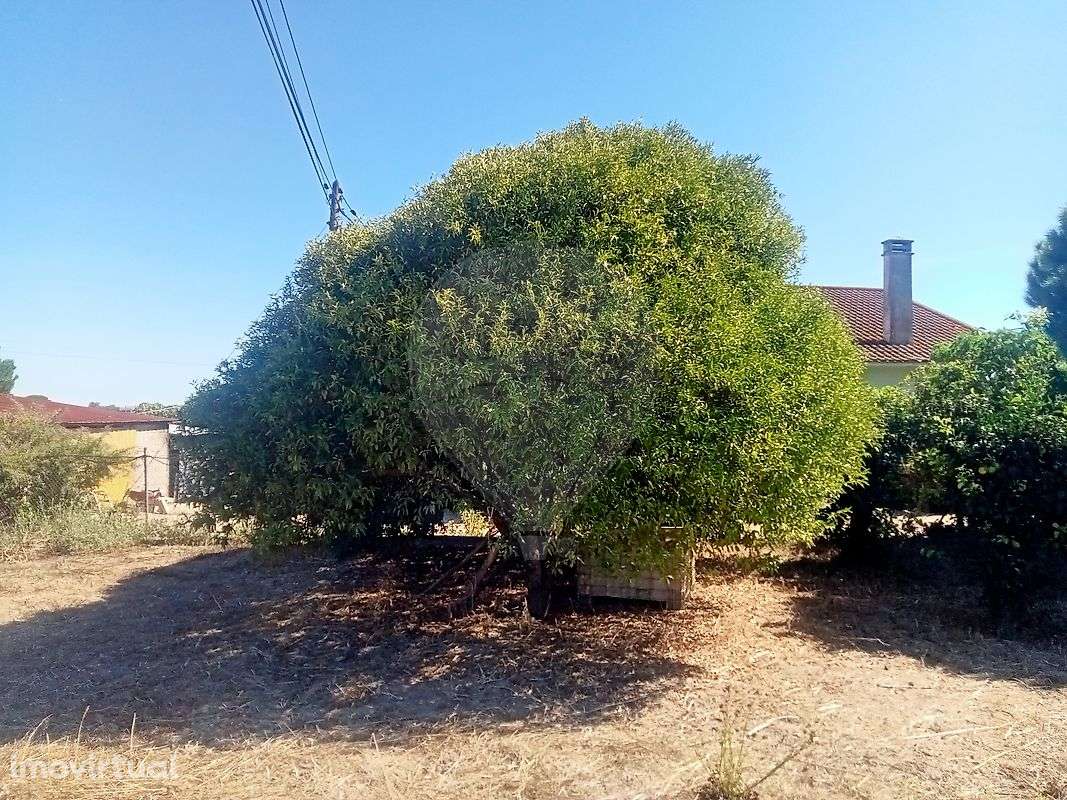 Moradia T2 para venda - Grande imagem: 4/13