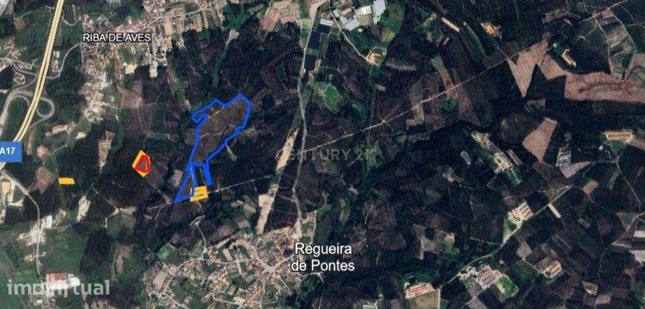 Terreno para venda, com 112 000m2 - Grande imagem: 4/4