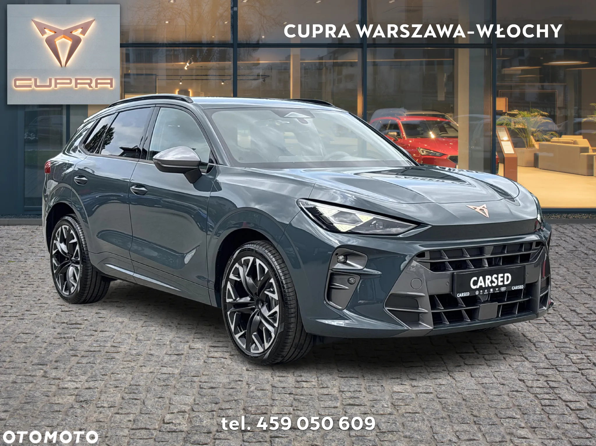 Cupra Terramar 2.0 TSI 4Drive DSG - 7