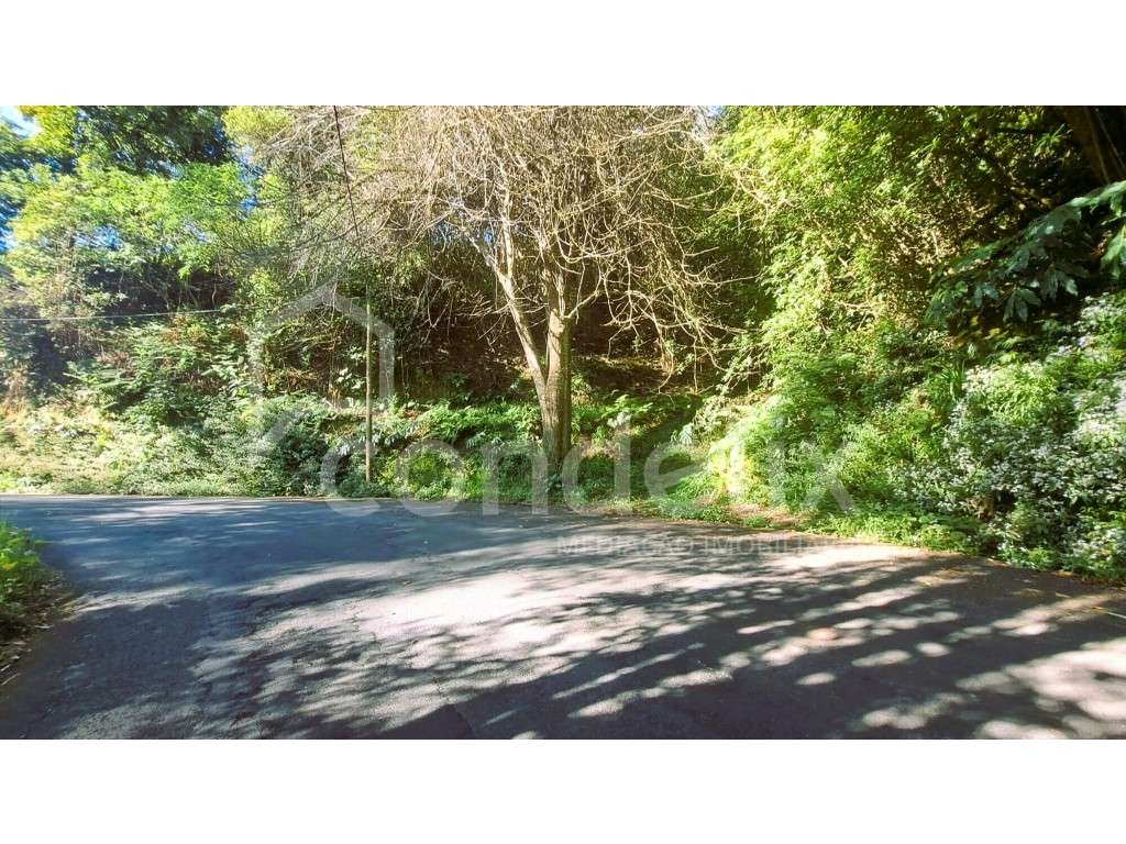 Terreno com 8955 m2 em Santo António da Serra - Grande imagem: 2/32