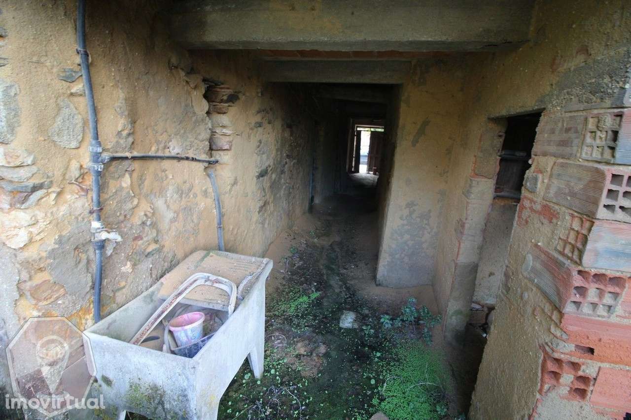 Moradia T3  com quintal - Valongo do Vouga - Grande imagem: 5/26