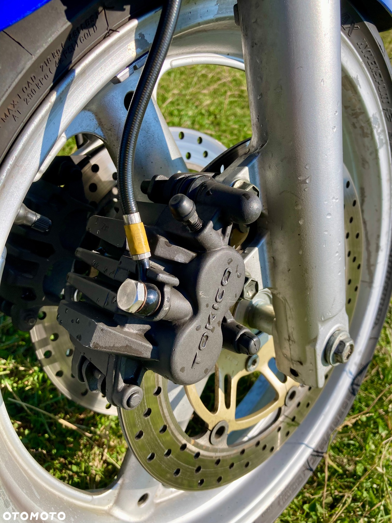 Suzuki SV - 12