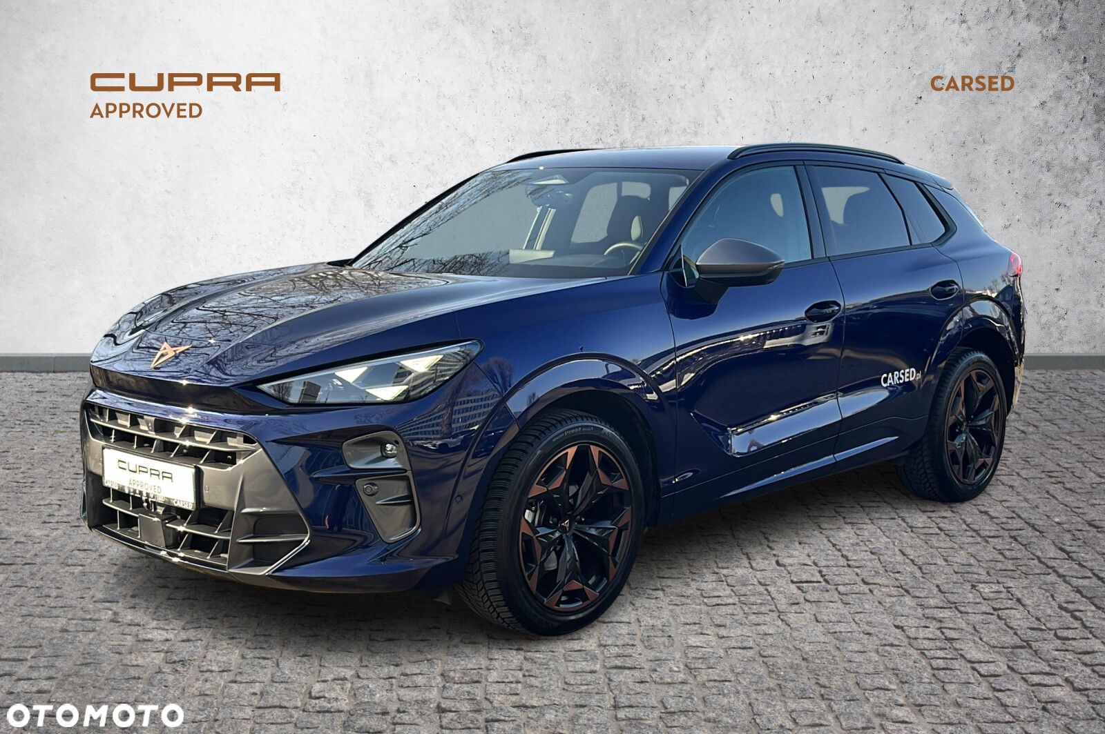 Cupra Terramar - 1