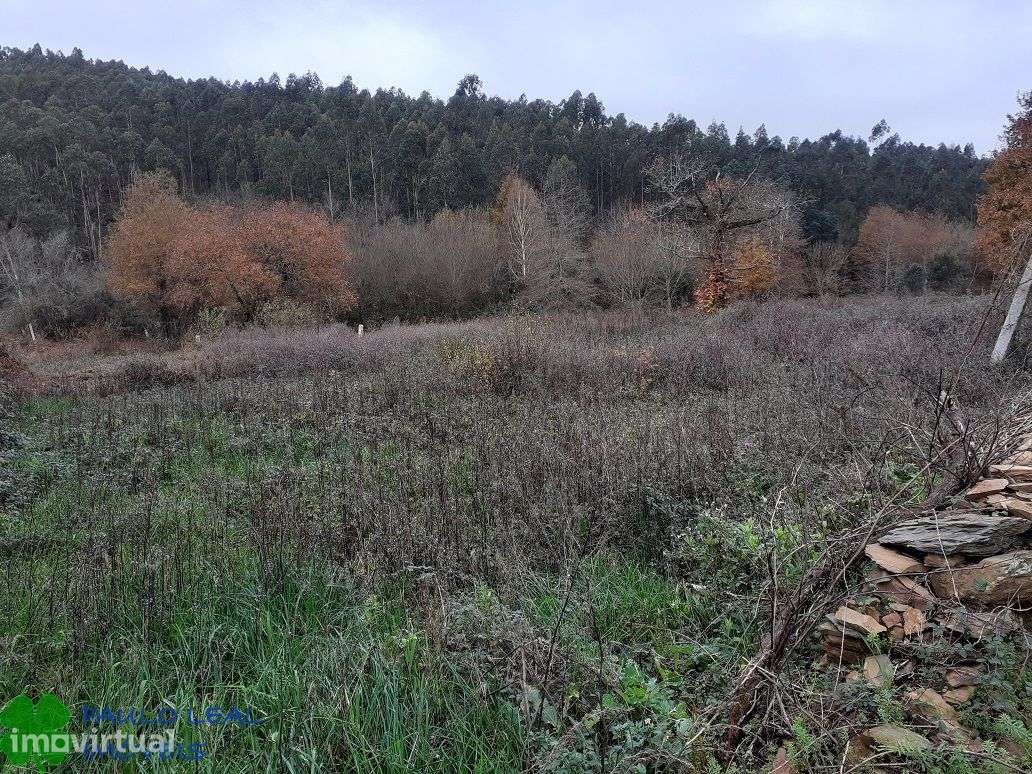 terreno alfena junto á codiceira - Grande imagem: 3/3