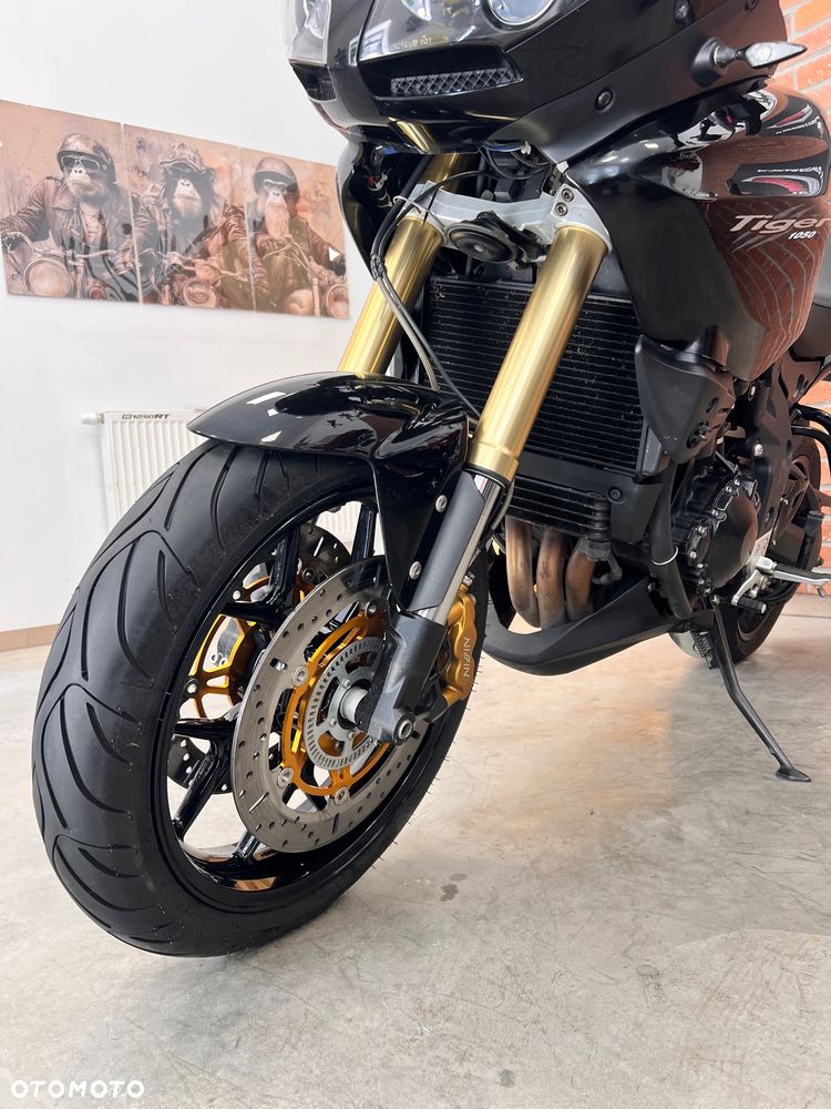 Triumph Tiger - 6