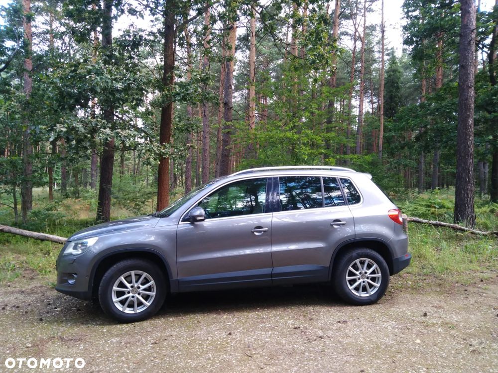 Volkswagen Tiguan - 1
