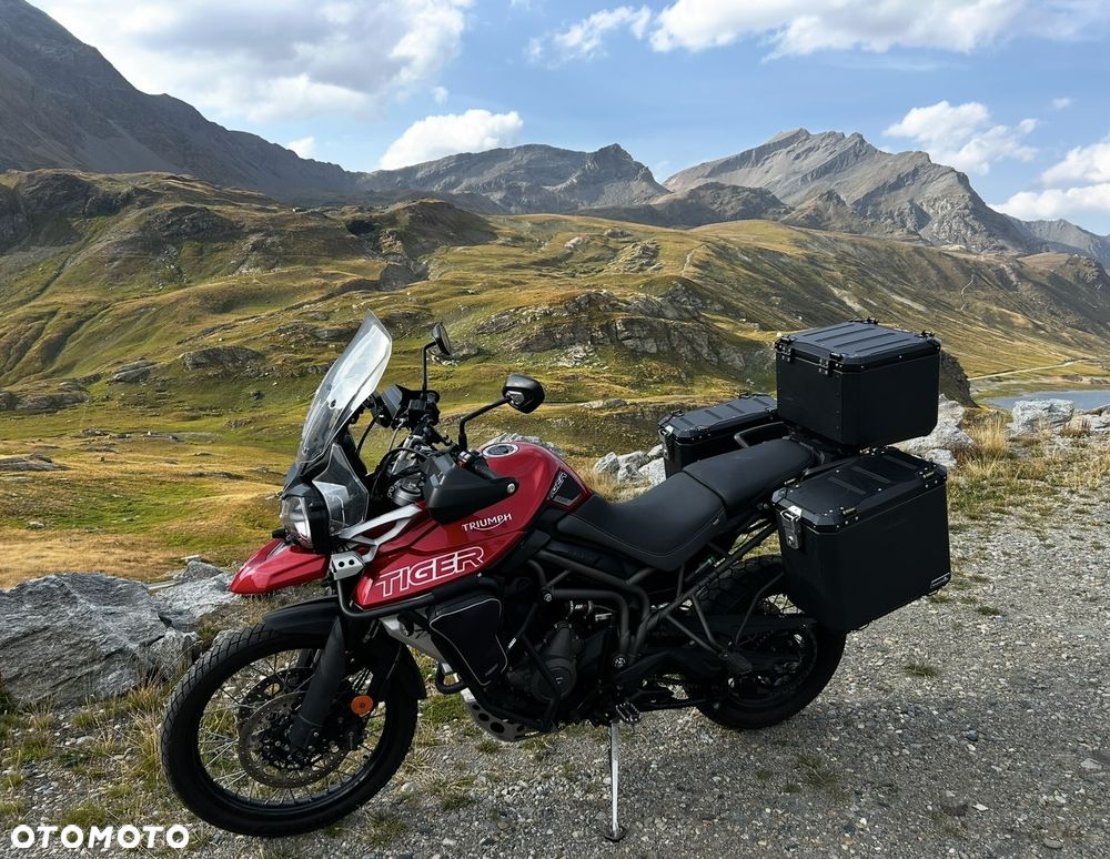 Triumph Tiger - 1