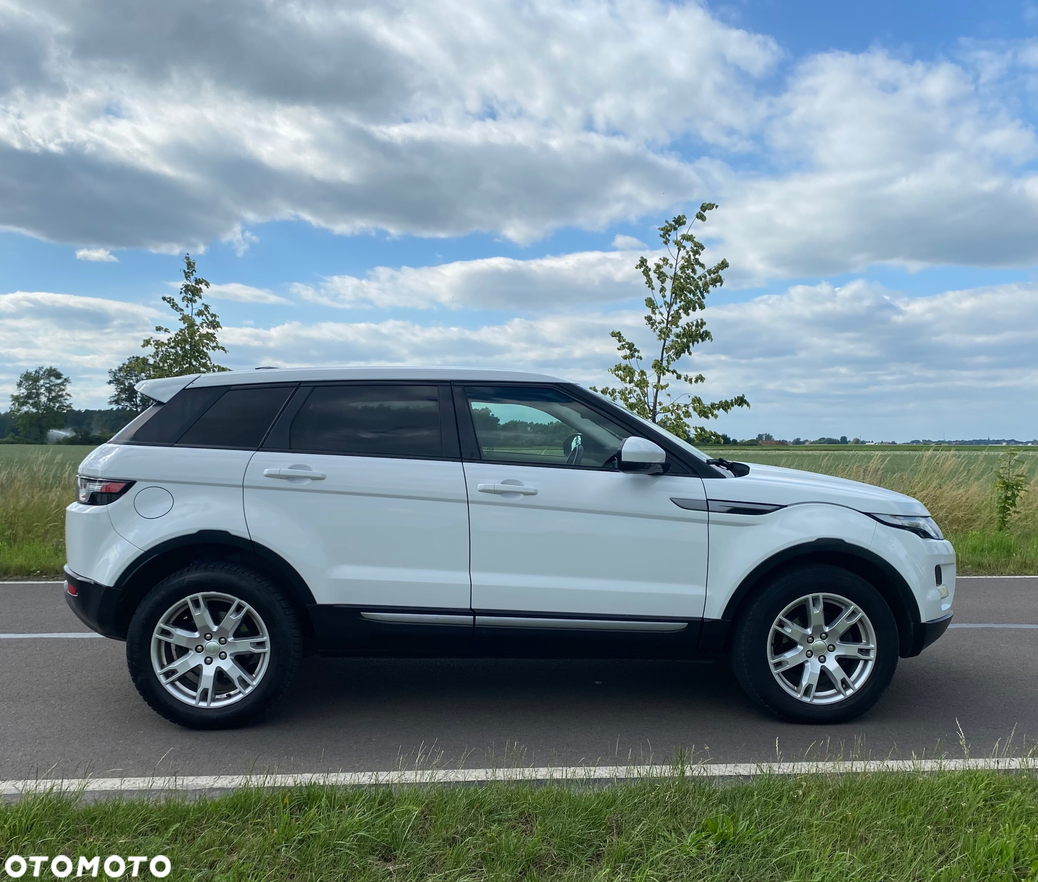Land Rover Range Rover Evoque 2.2TD4 Pure - 7