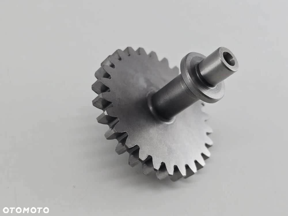 TRYB WALEK KOLO ZEBATE  TRIUMPH SCRAMBLER 400 SPEED - 6