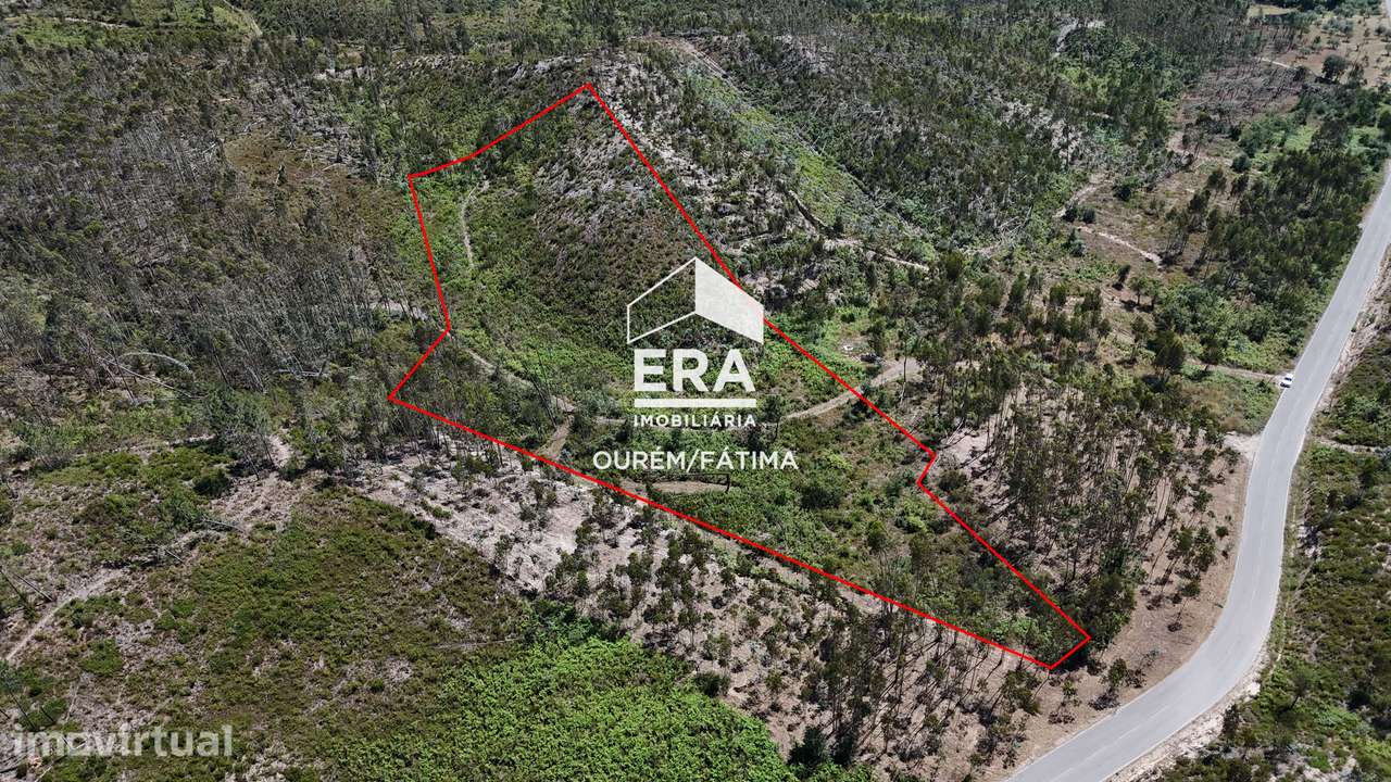 Terreno Florestal em Matas, Ourém - Grande imagem: 5/18