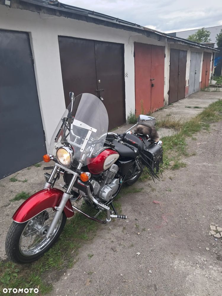 Honda Shadow - 22