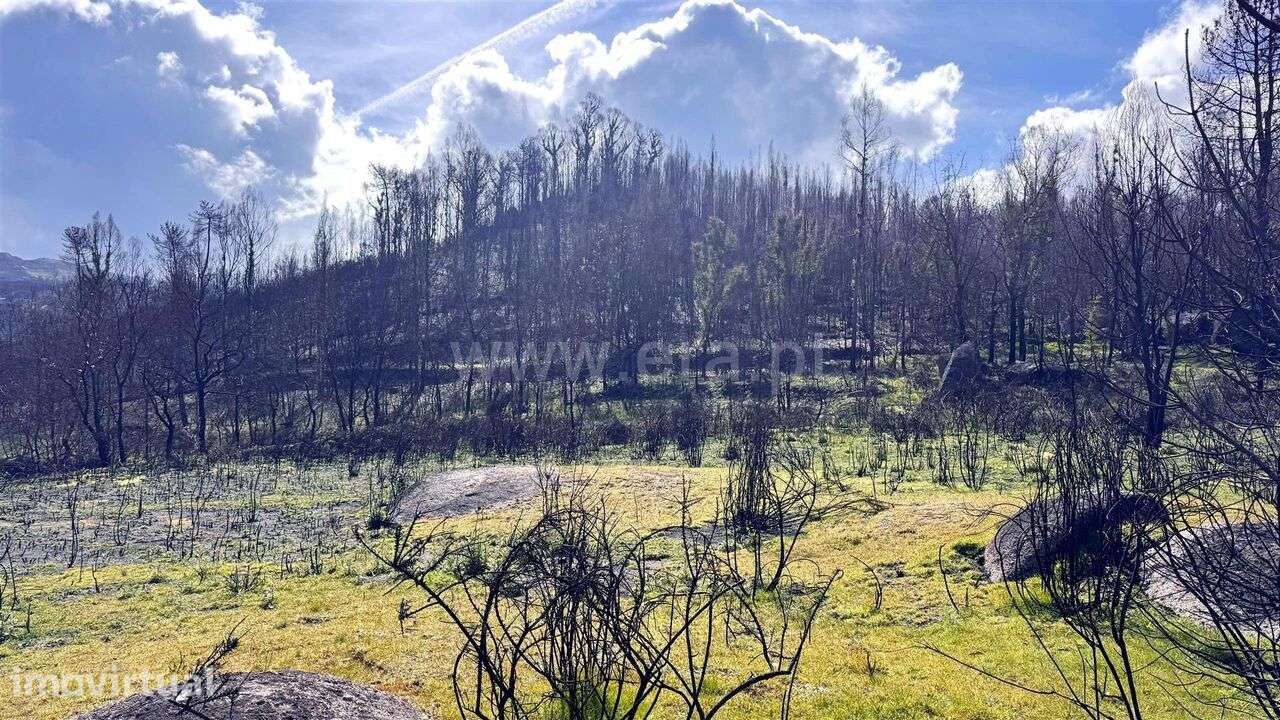 Terreno / Marco de Canaveses, Várzea, Aliviada e Folhada - Grande imagem: 2/14