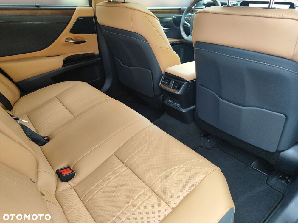 Lexus ES 300h Omotenashi - 11