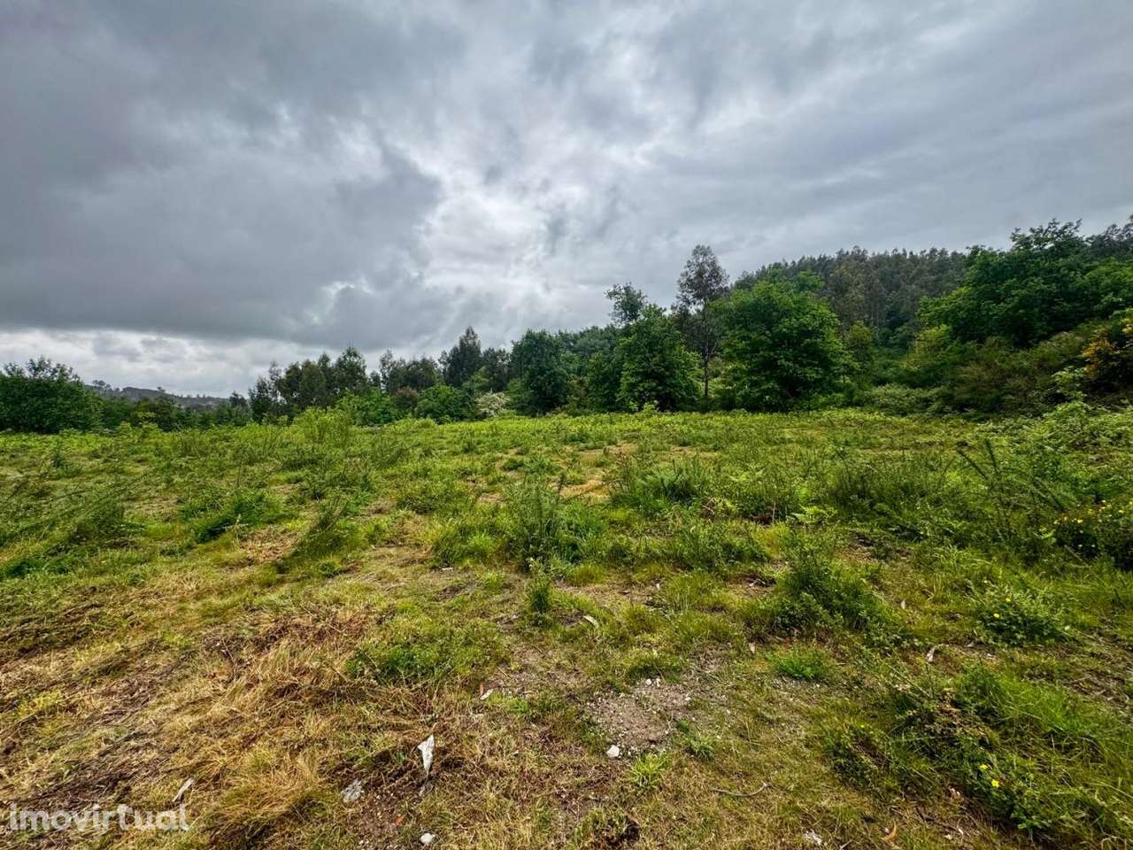 Terreno Rústico com 4.000 m² em Este São Mamede, Braga – Tranquil - Grande imagem: 4/11