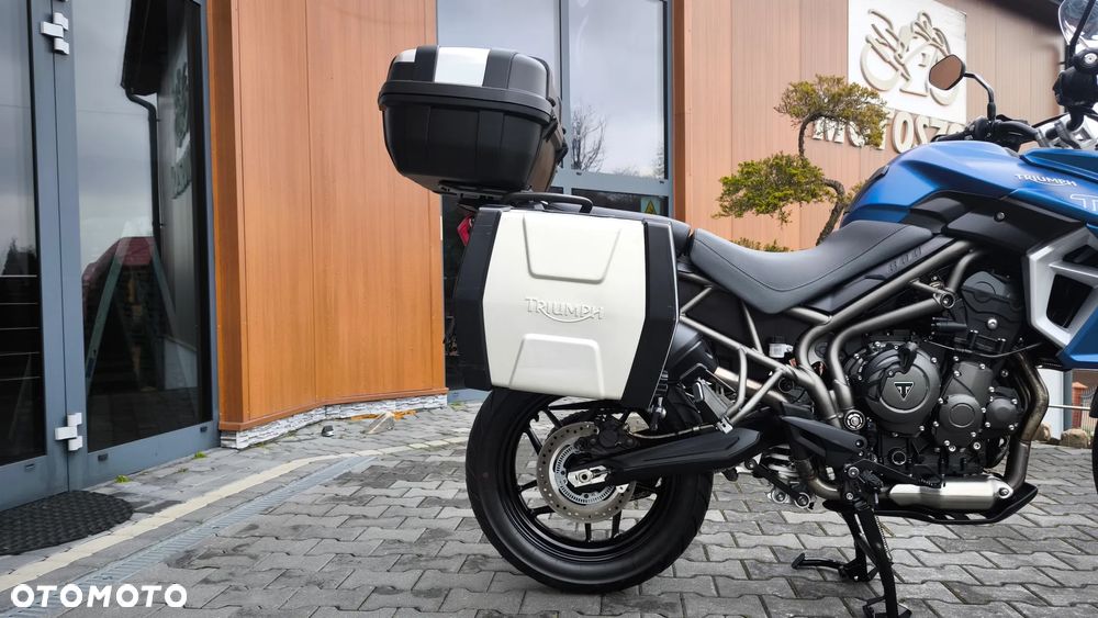 Triumph Tiger - 17