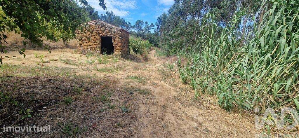 Terreno em Azueira e Sobral da Abelheira - Grande imagem: 2/19