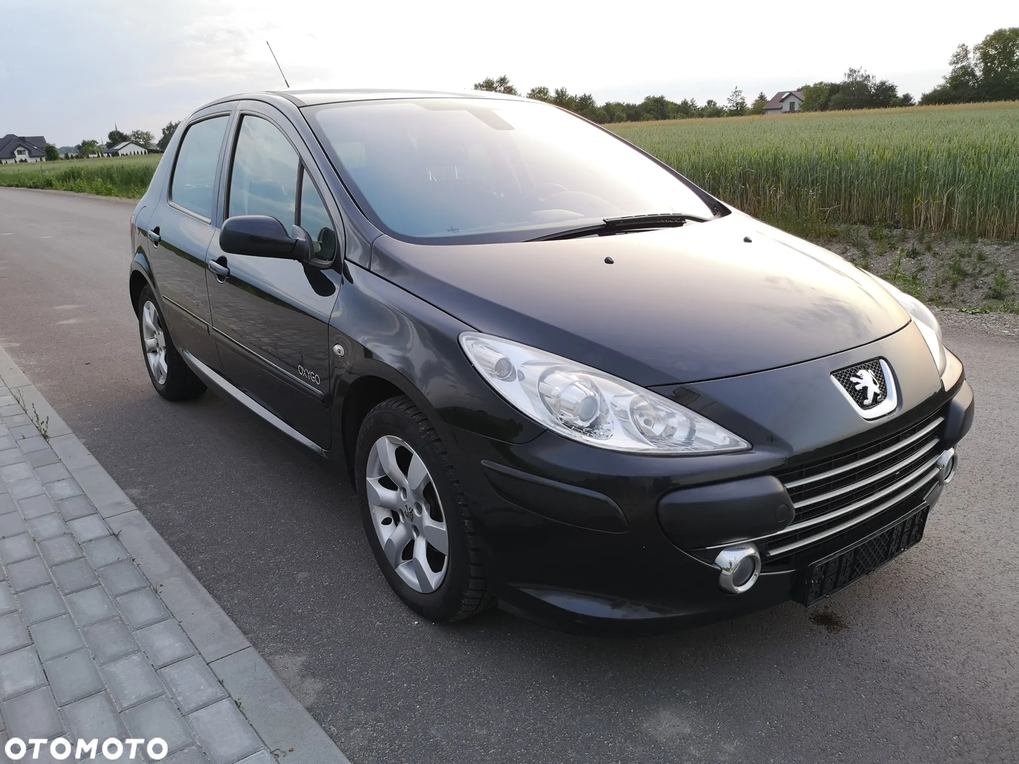 Peugeot 307 110 OXYGO - 2