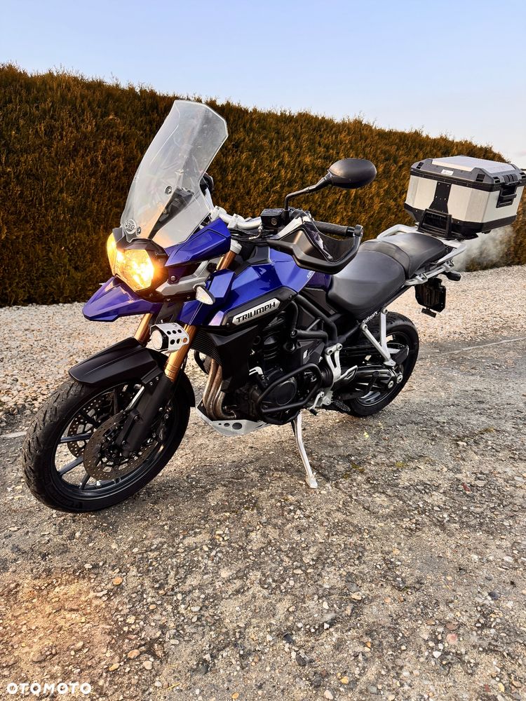 Triumph Tiger - 25