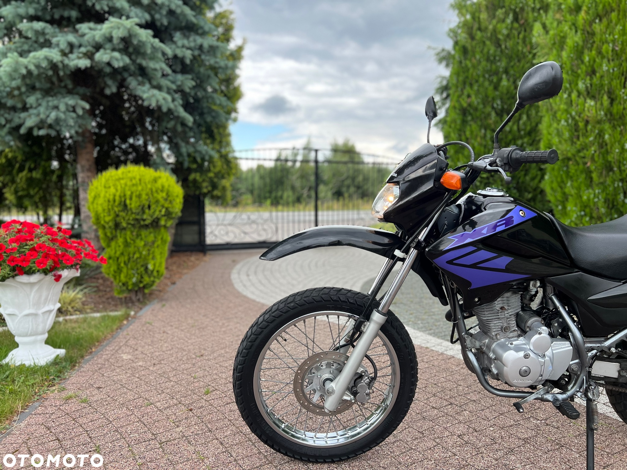 Honda XR - 25