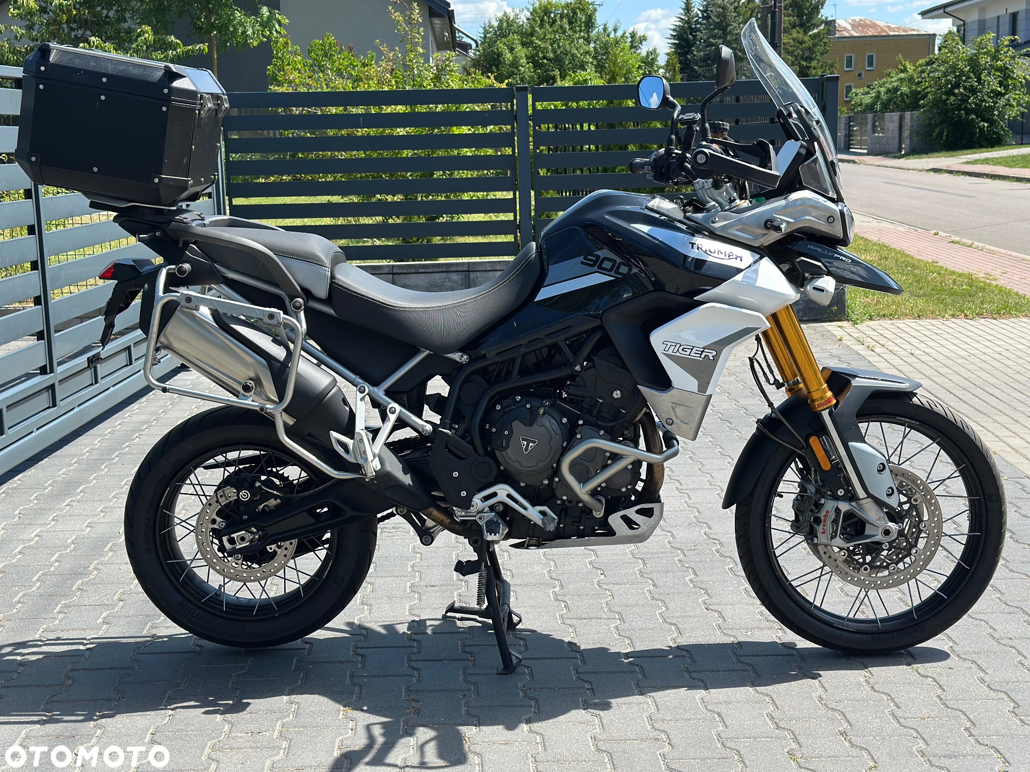 Triumph Tiger - 9