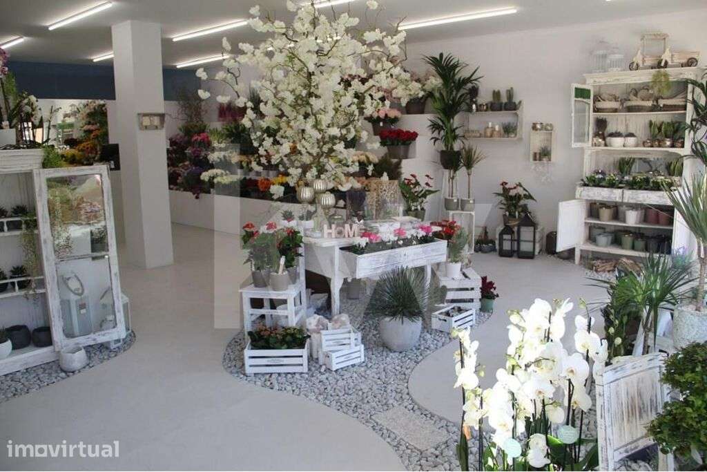 OPORTUNIDADE - VENDA DE ESPAÇO COMERCIAL COM CAVE E GARAGEM (AV ANTUNE - Grande imagem: 4/19